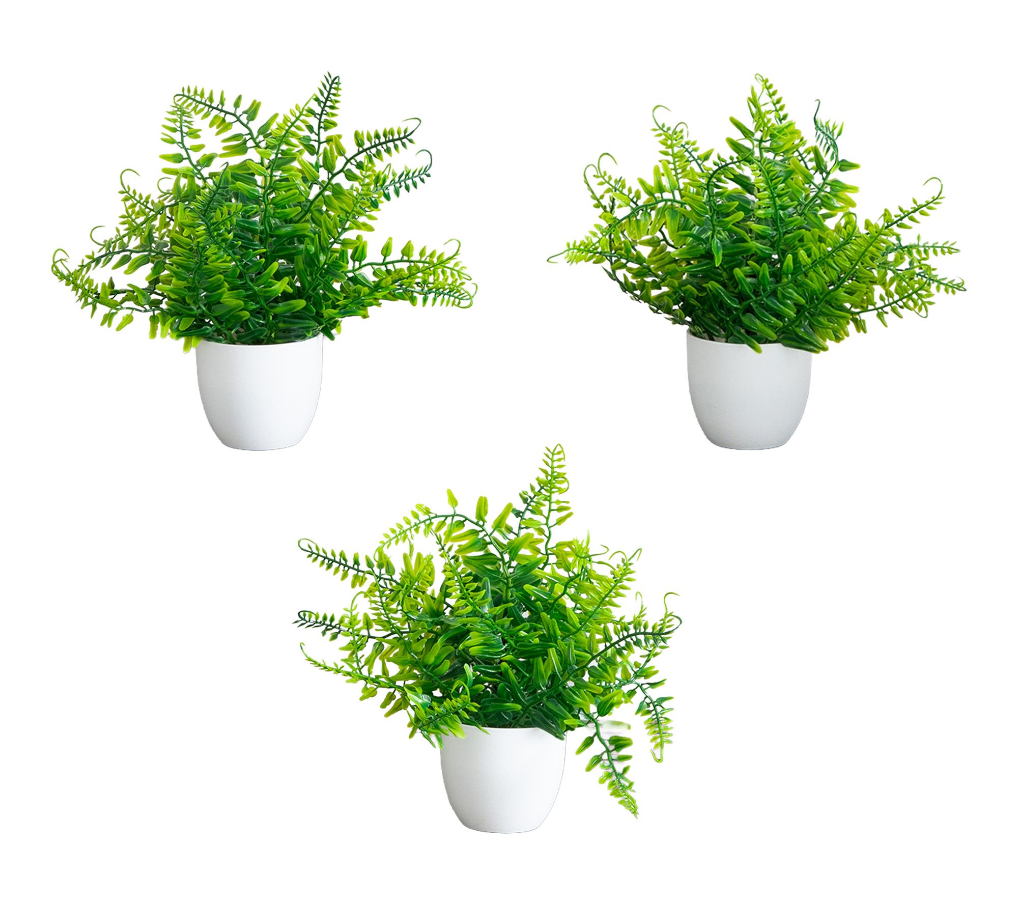 6-in Fern Plant in White Round Pot - Set of 3 by Nearly Natural