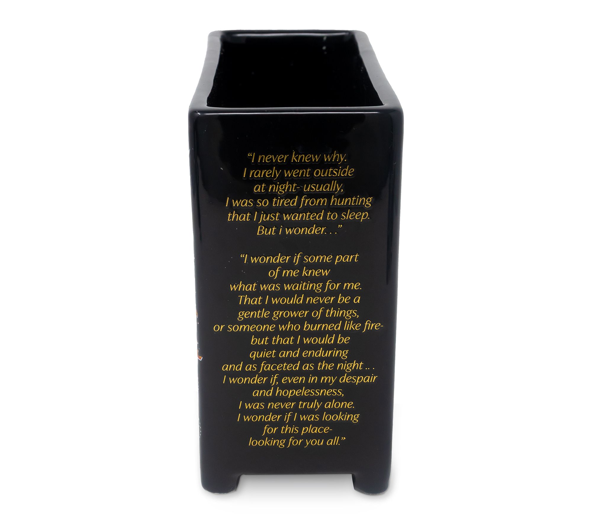 Sarah J. Maas Vase, Dresser | QVC