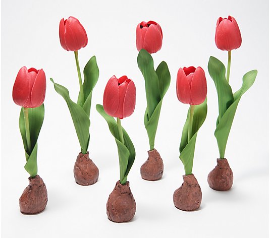 Barbara King Set of 6 Real Touch Tulip Bulbs