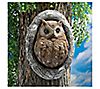 Design Toscano Octavius Knot Hole Owl Tree Sculpture, 1 of 1