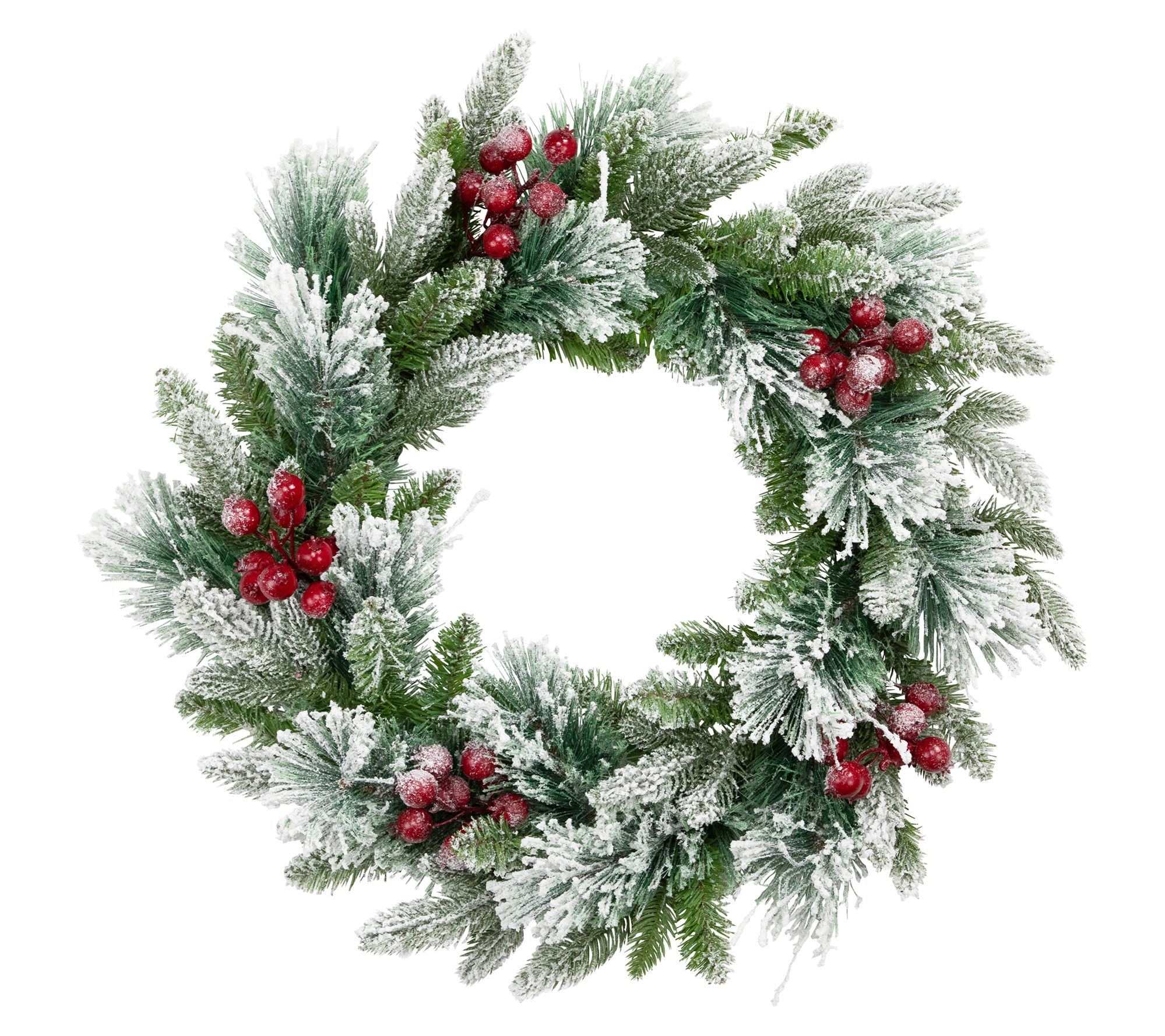 Northlight Flocked Fir with Berries Christmas Wreath 24"