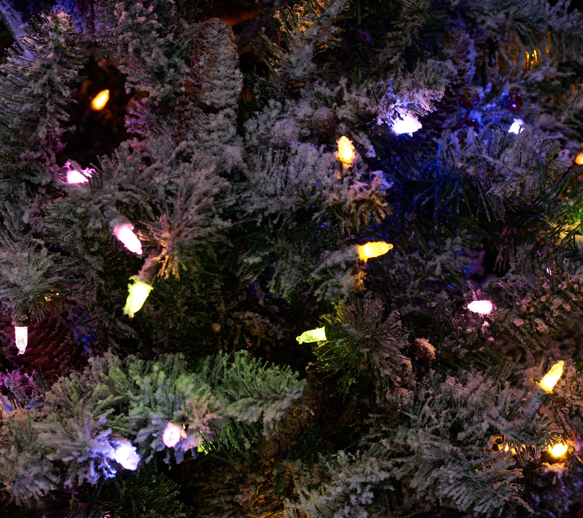 ED On Air Santa's Best 5' Frosted Simon Tree by Ellen DeGeneres