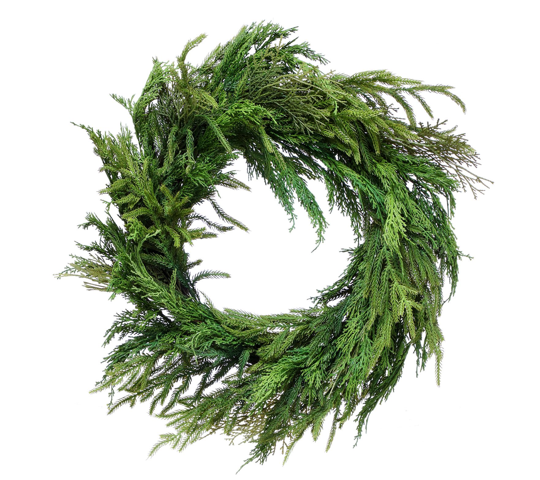 26" Cyprus Norfolk Pine Wreath by Valerie