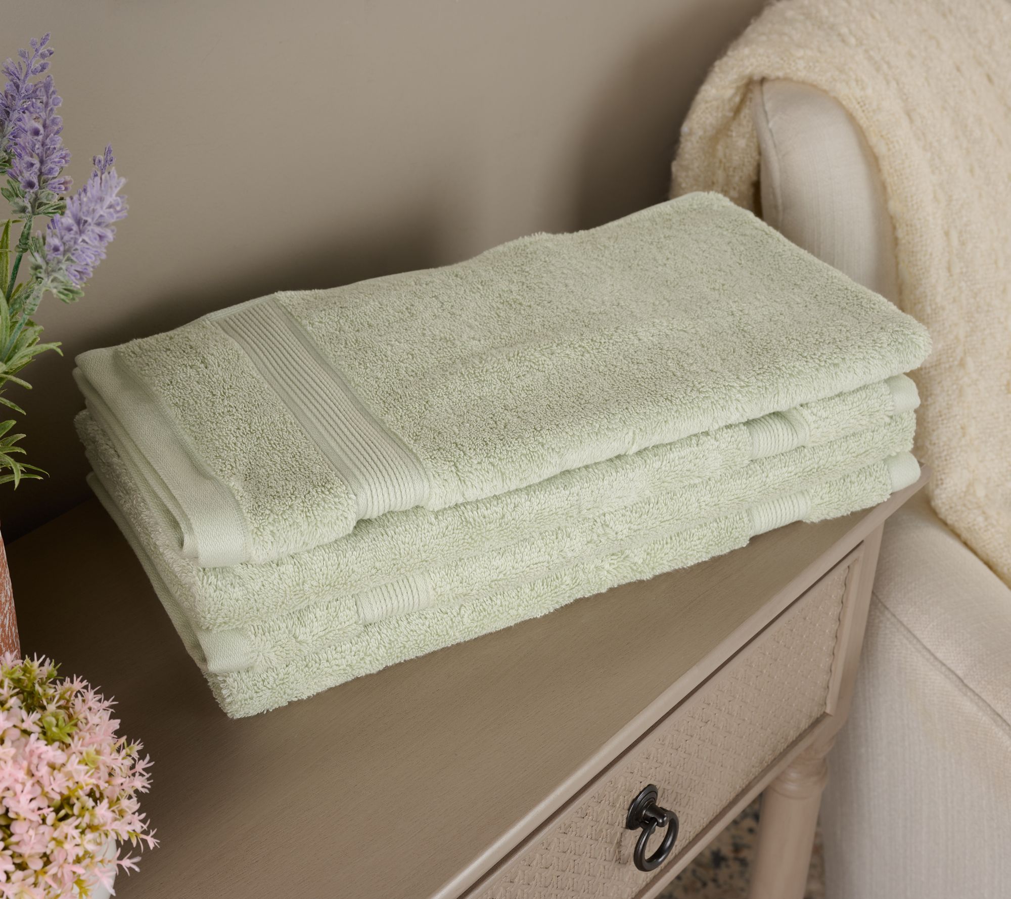 Northern Nights Egyptian Cotton 4-Piece Hand Towel Set