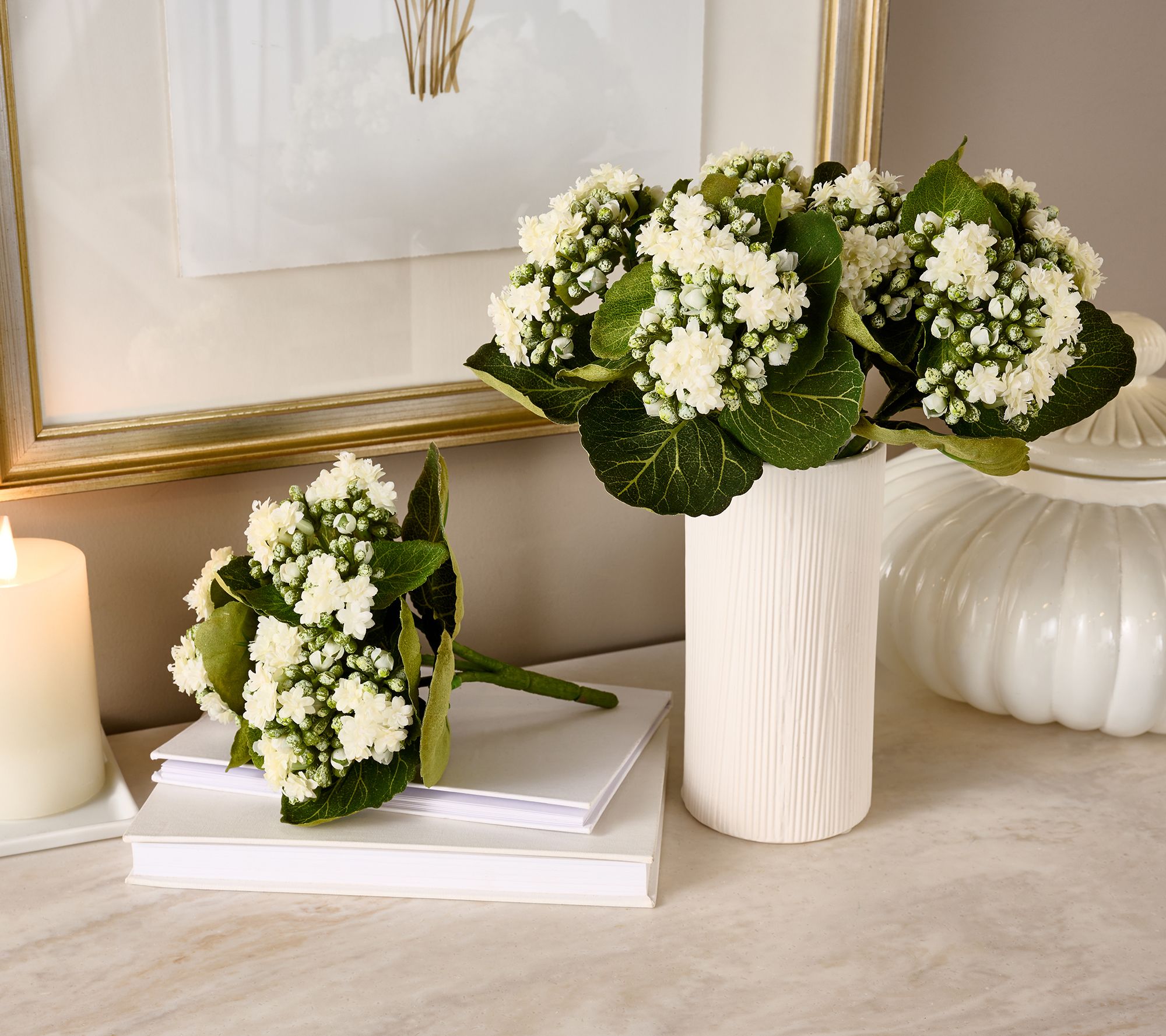 Set of 3 Kalanchoe Plants By Valerie