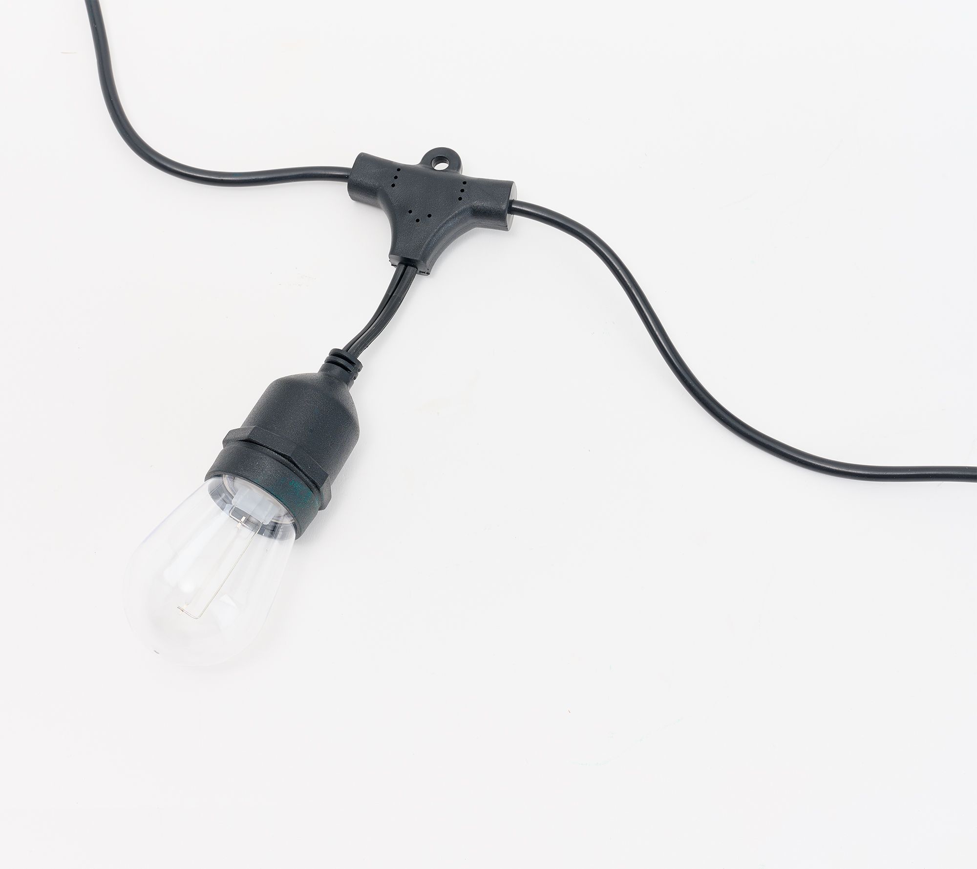 20' Color Flip Bistro Lights by Kim Gravel