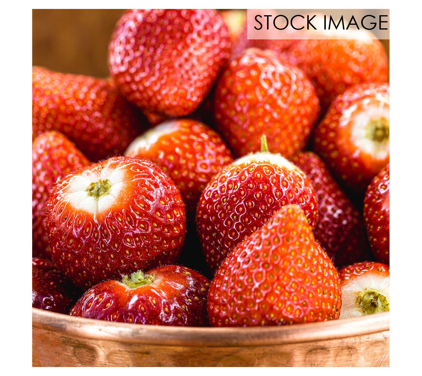 Van Zyverden Dayneutral Strawberries Albion Setof 20 Roots