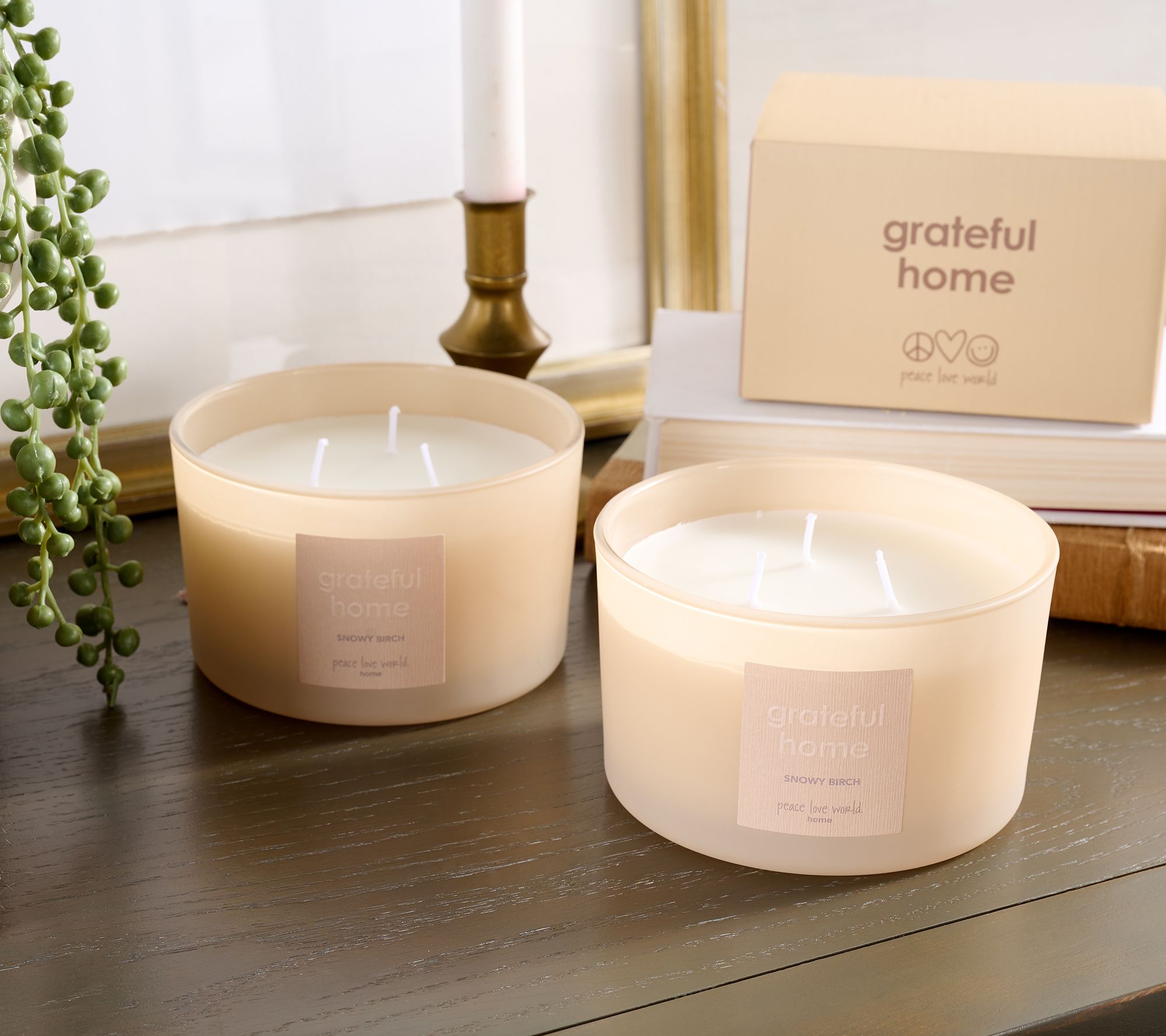 "As Is" Peace Love World S/2 16oz Matte Glass Candles