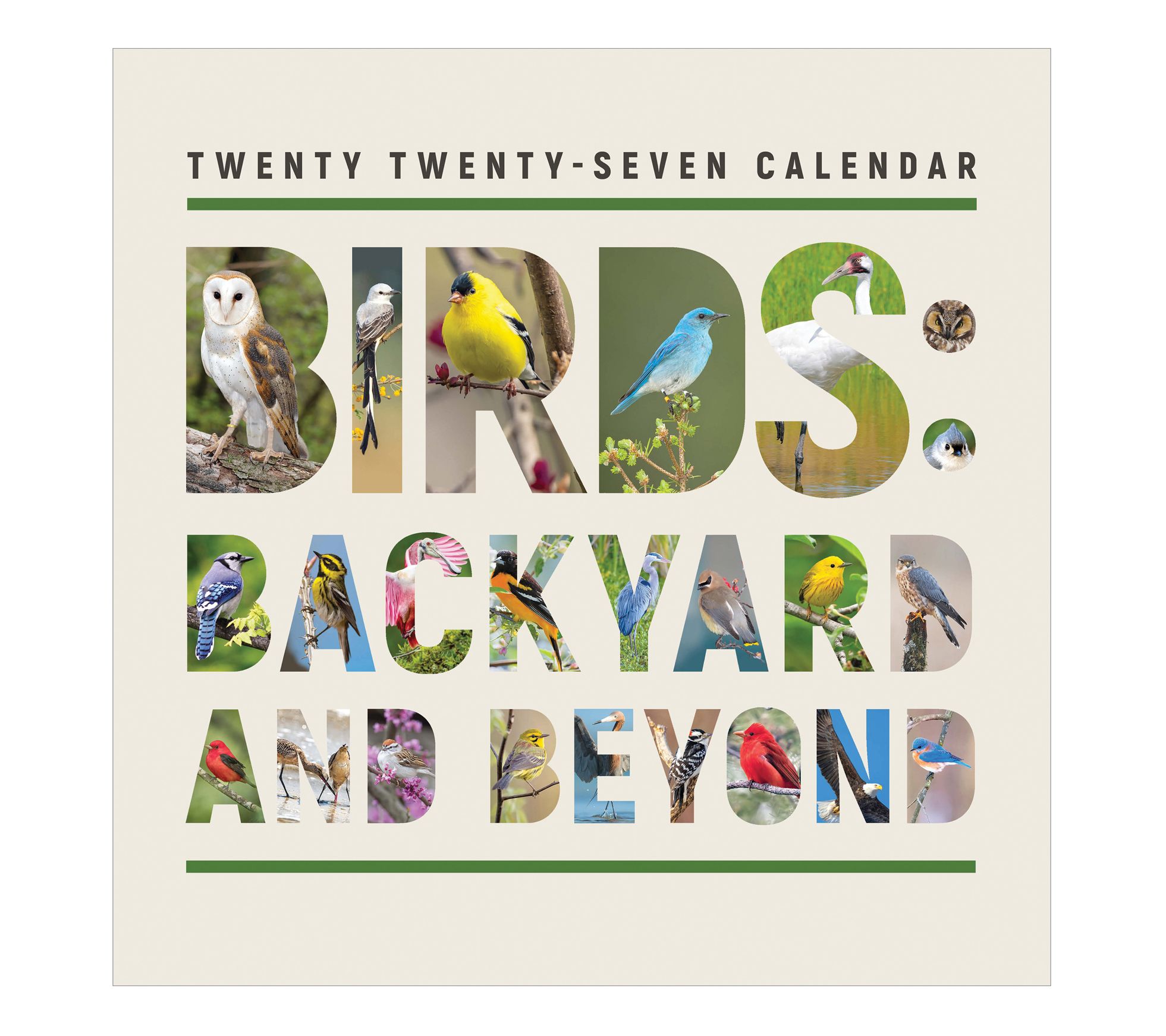 2027 Birds Backyard and Beyond Wall Calendar