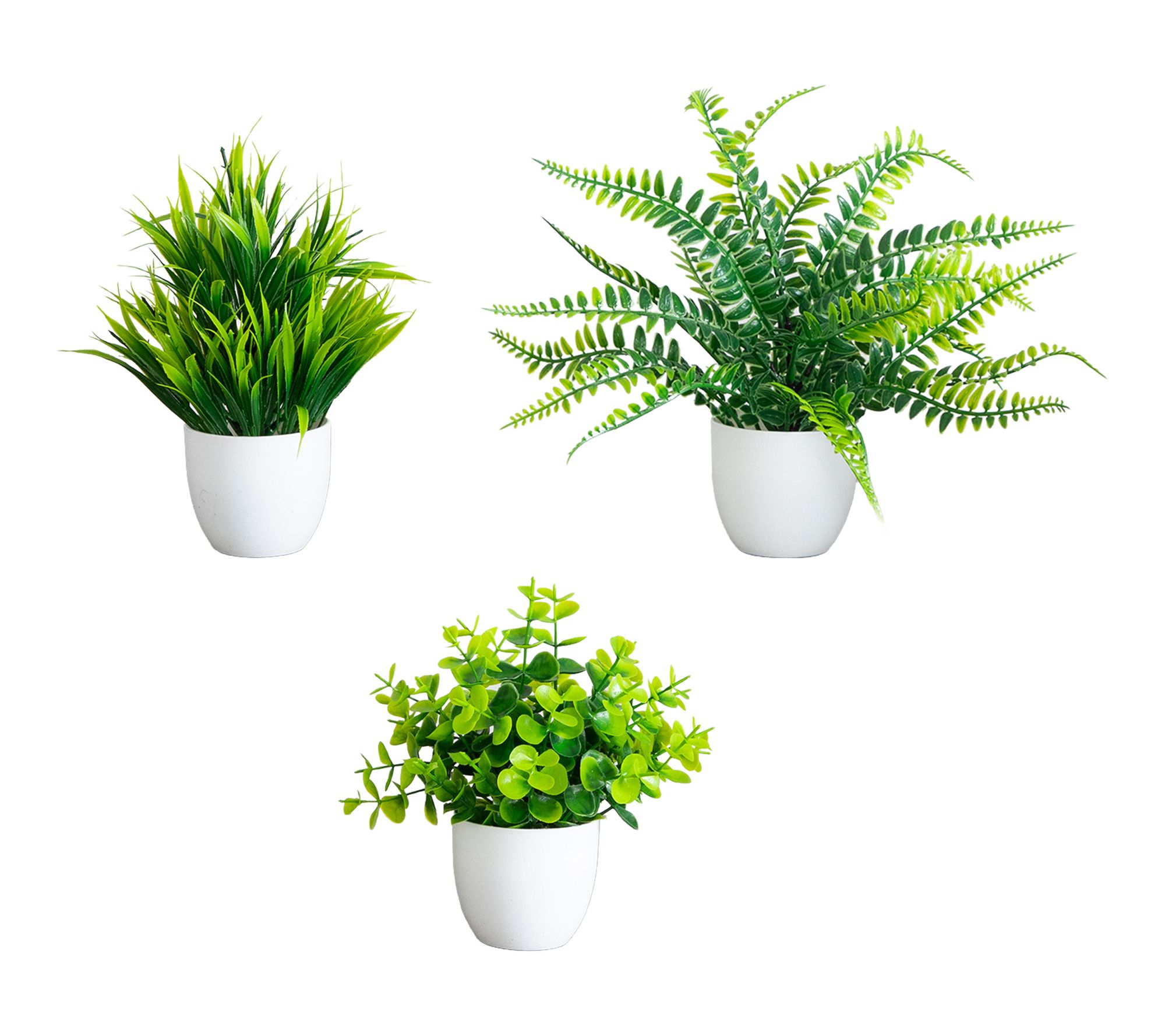 6-in Mixed Plant in White Pot - Set of 3 by Nearly Natural