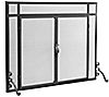 Plow & Hearth Small Classic Flat Guard Fire Screen with Doors