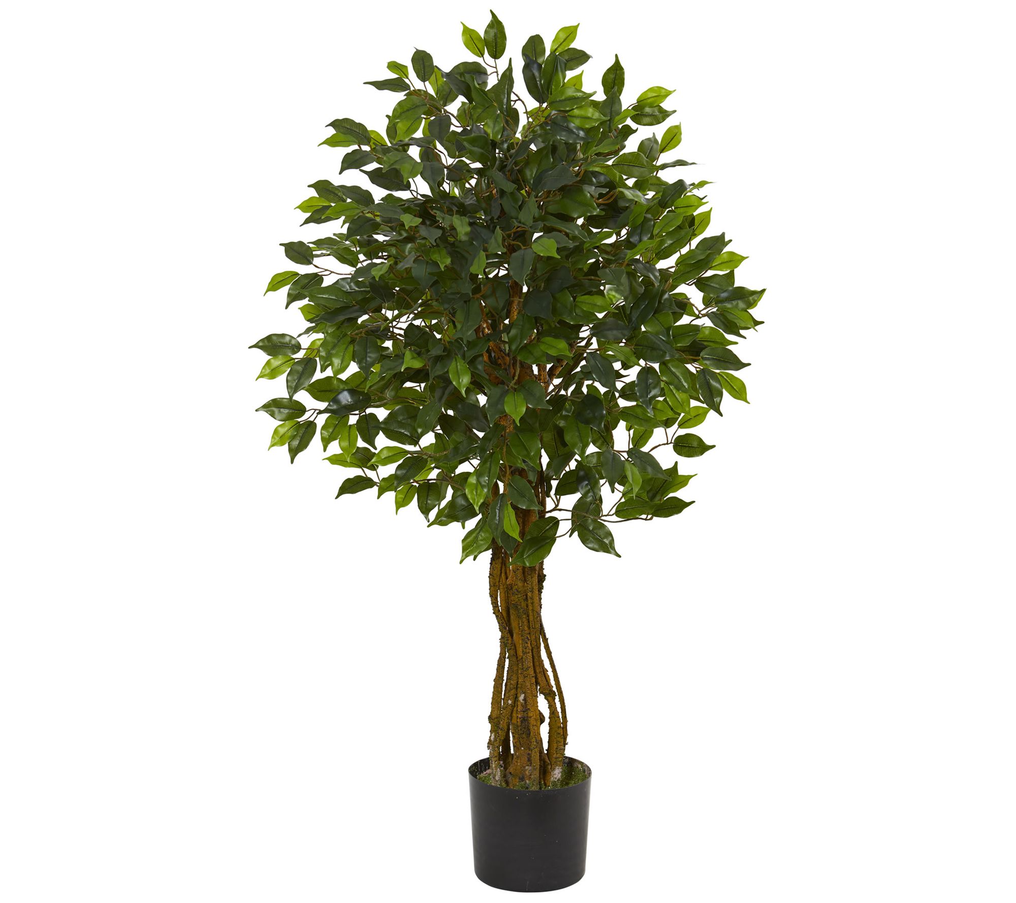 Ficus Artificial Tree by Nearly Natural - QVC.com