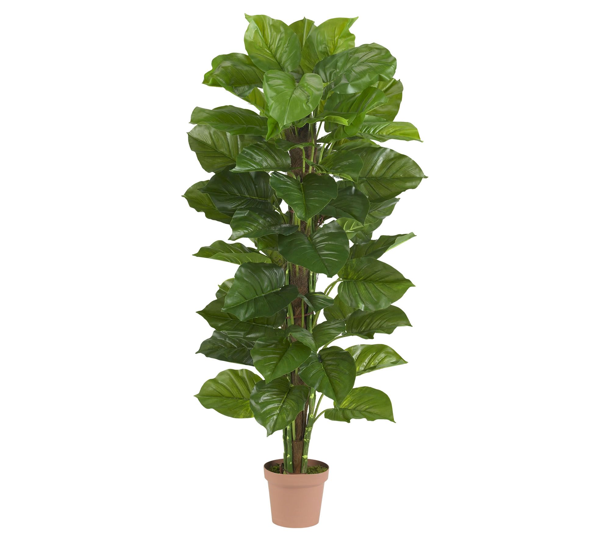 63" Large-Leaf Philodendron Silk Plant by Nearly Natural