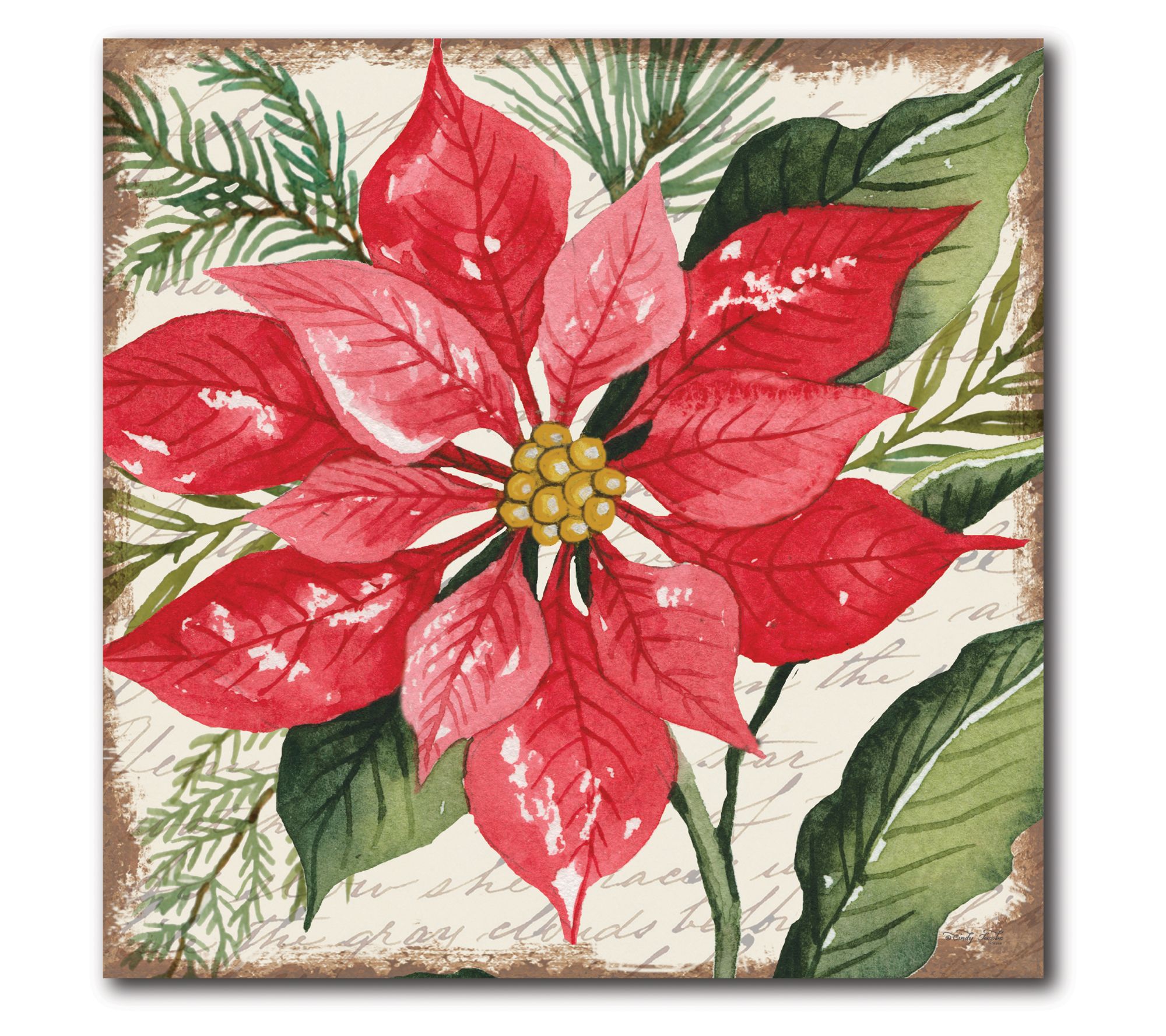 Courtside Market Poinsettia 16x16 Canvas Wall A rt