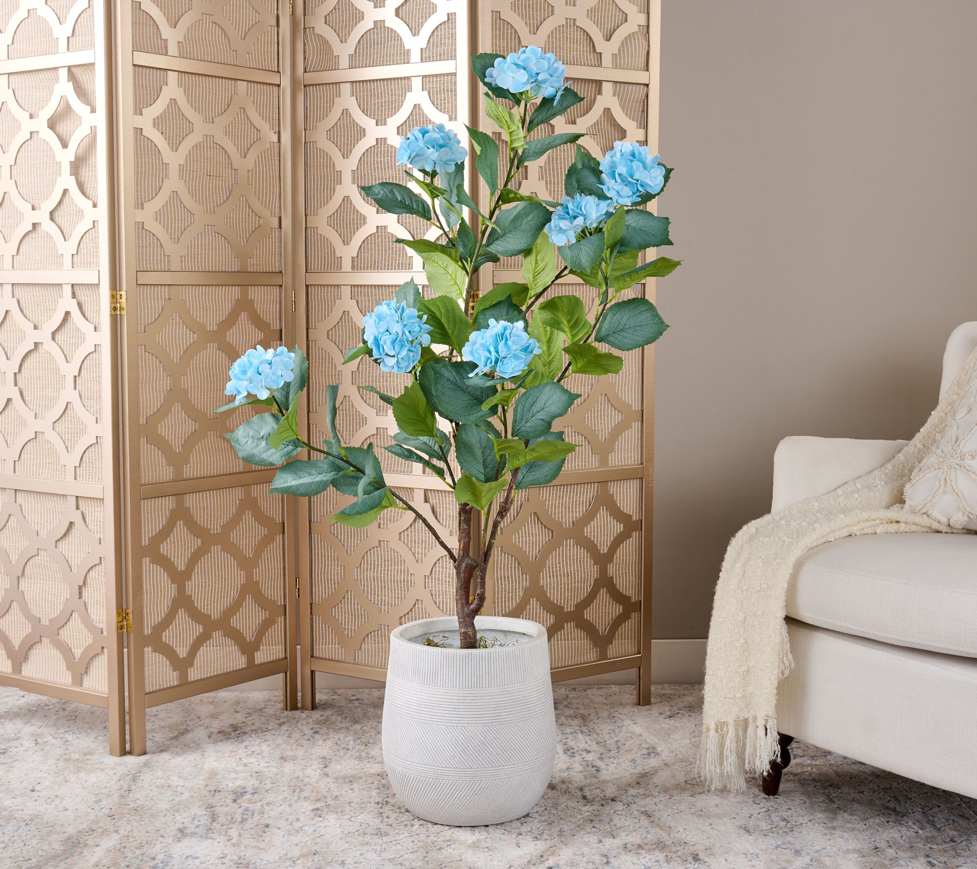 4' Hydrangea Bush in Pot by Valerie
