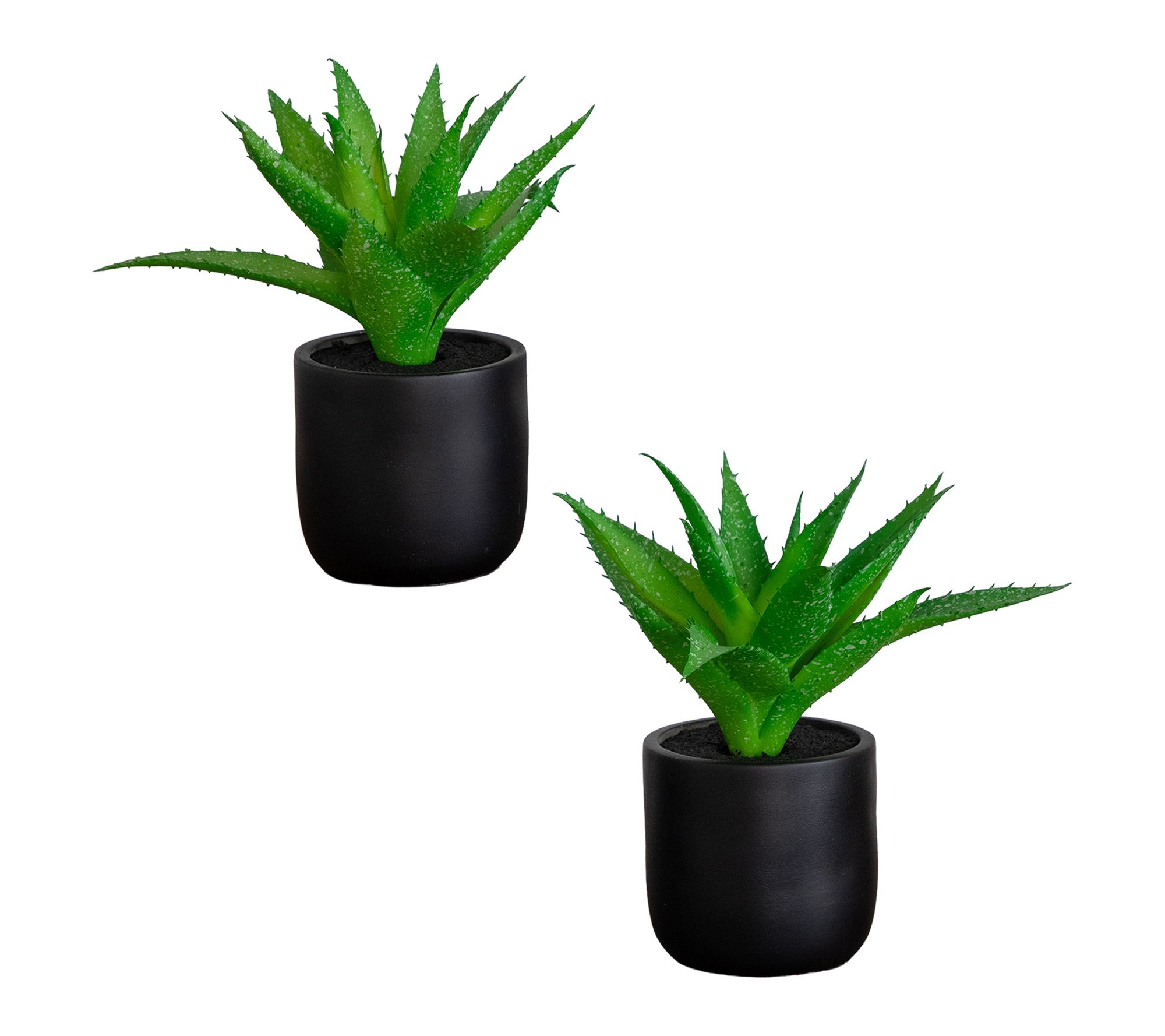9-in Mini Succulent in Planter - Set of 2 by Nearly Natural