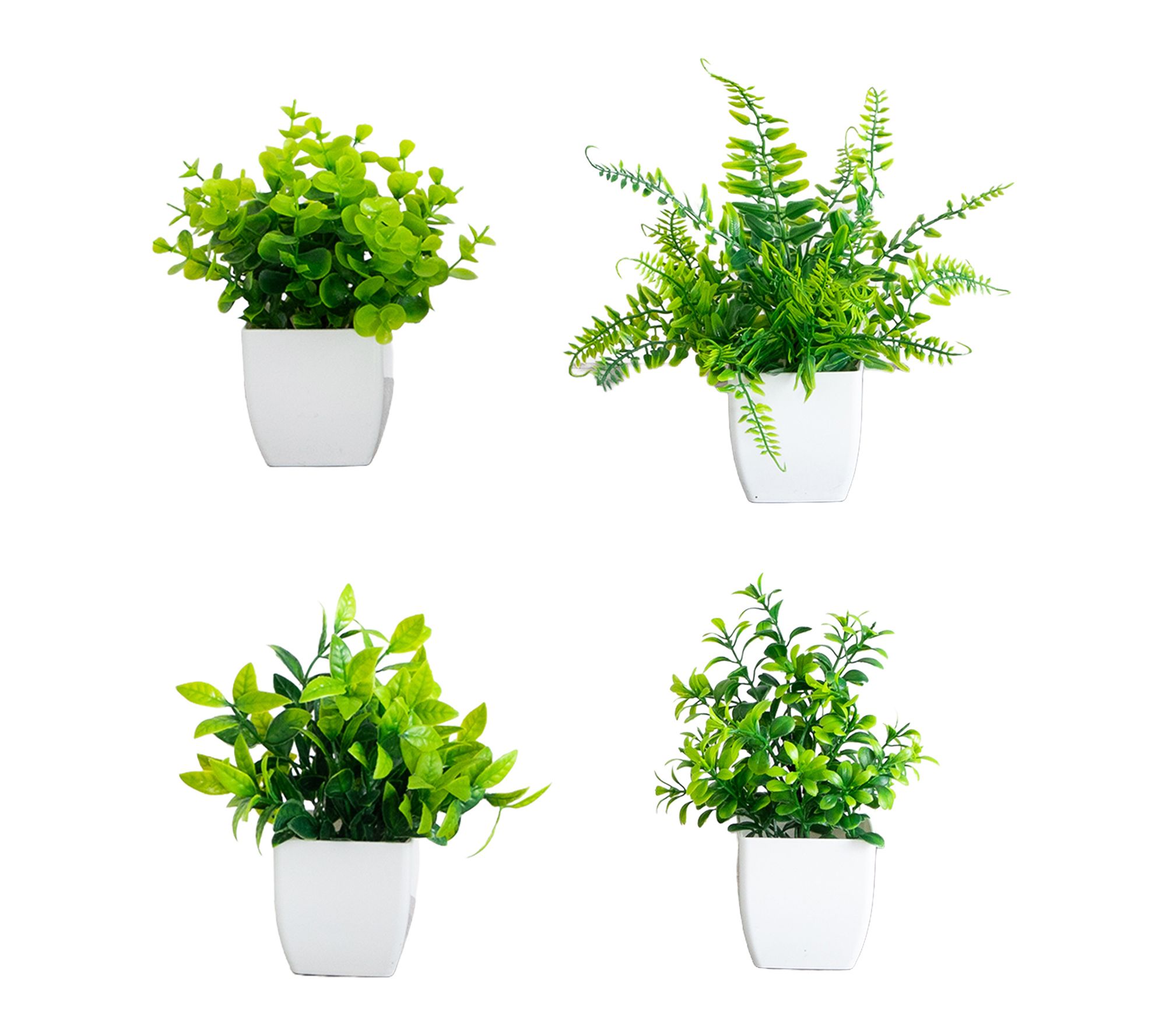 6-in Plant in White Square Pot - Set of 4 by Nearly Natural