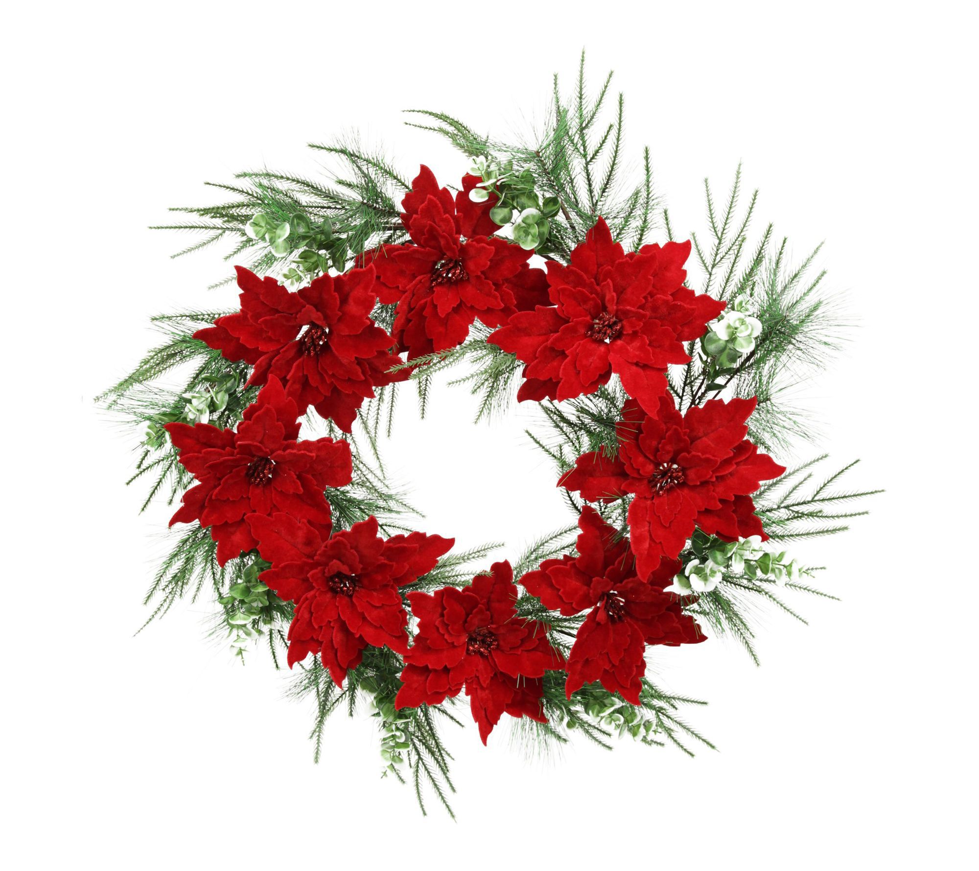 Fraser Hill Farm 24-in. Real Feel Foam Poinsettia Wreath