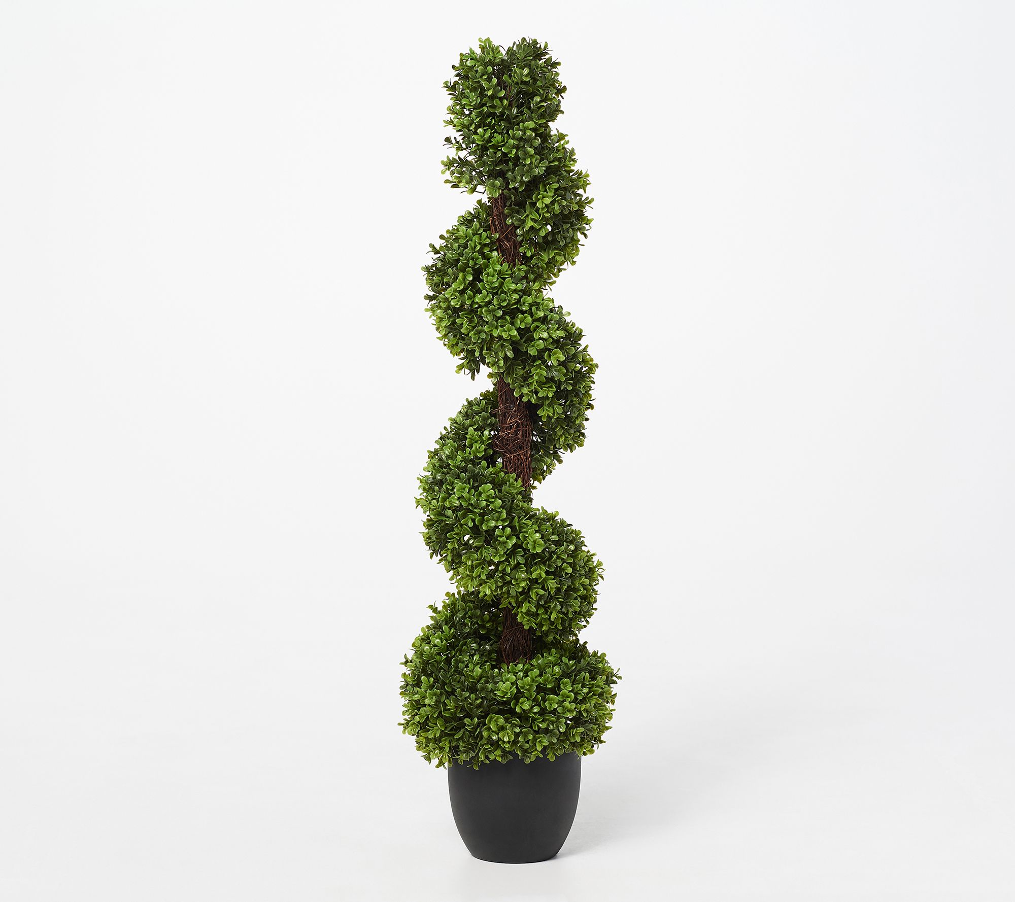 42" Indoor/ Outdoor Spiral Boxwood Topiary by Valerie Valerie Parr Hill 