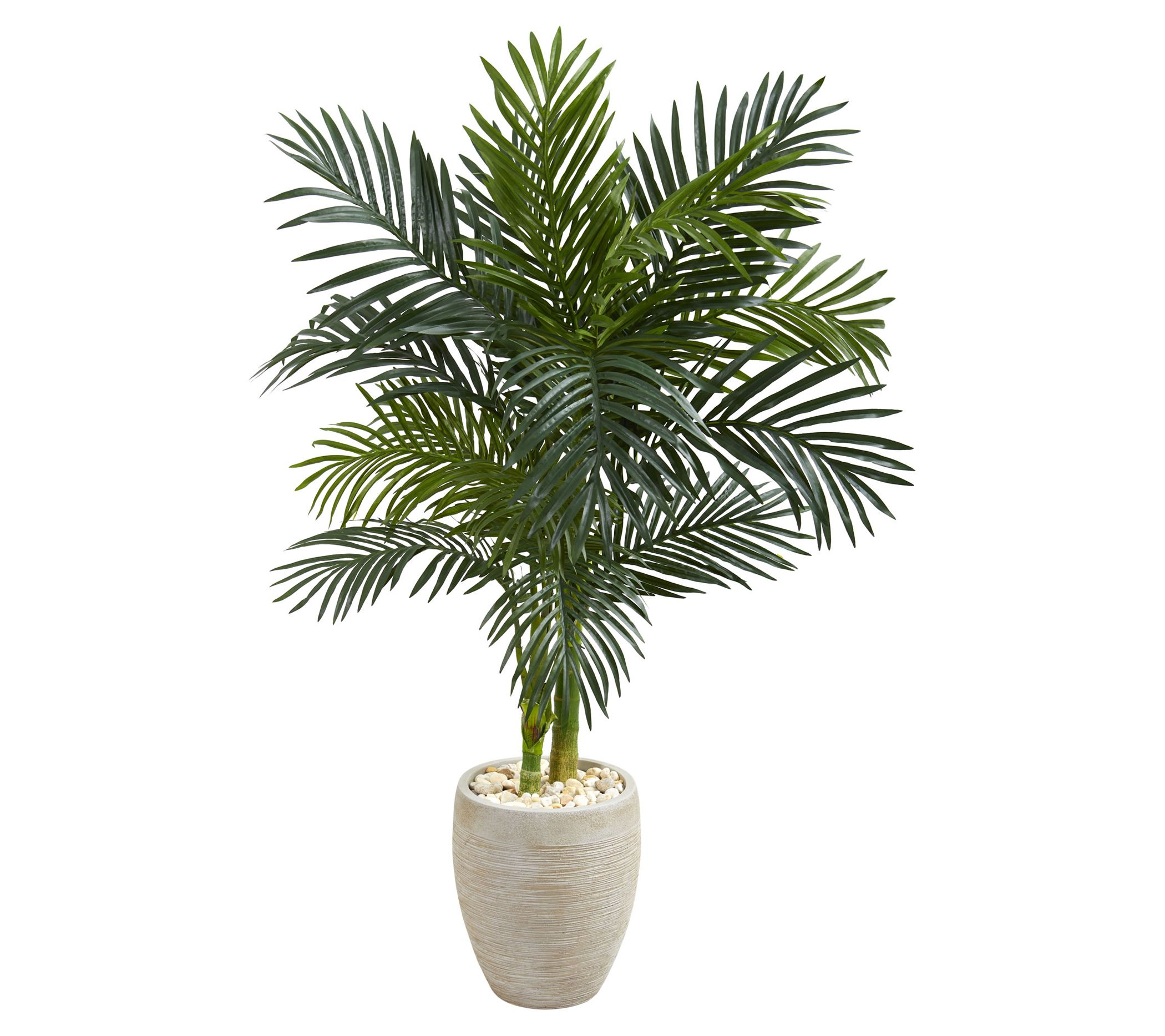 Nearly Natural 4.5' Golden Cane Palm Tree in Oval Planter - QVC.com