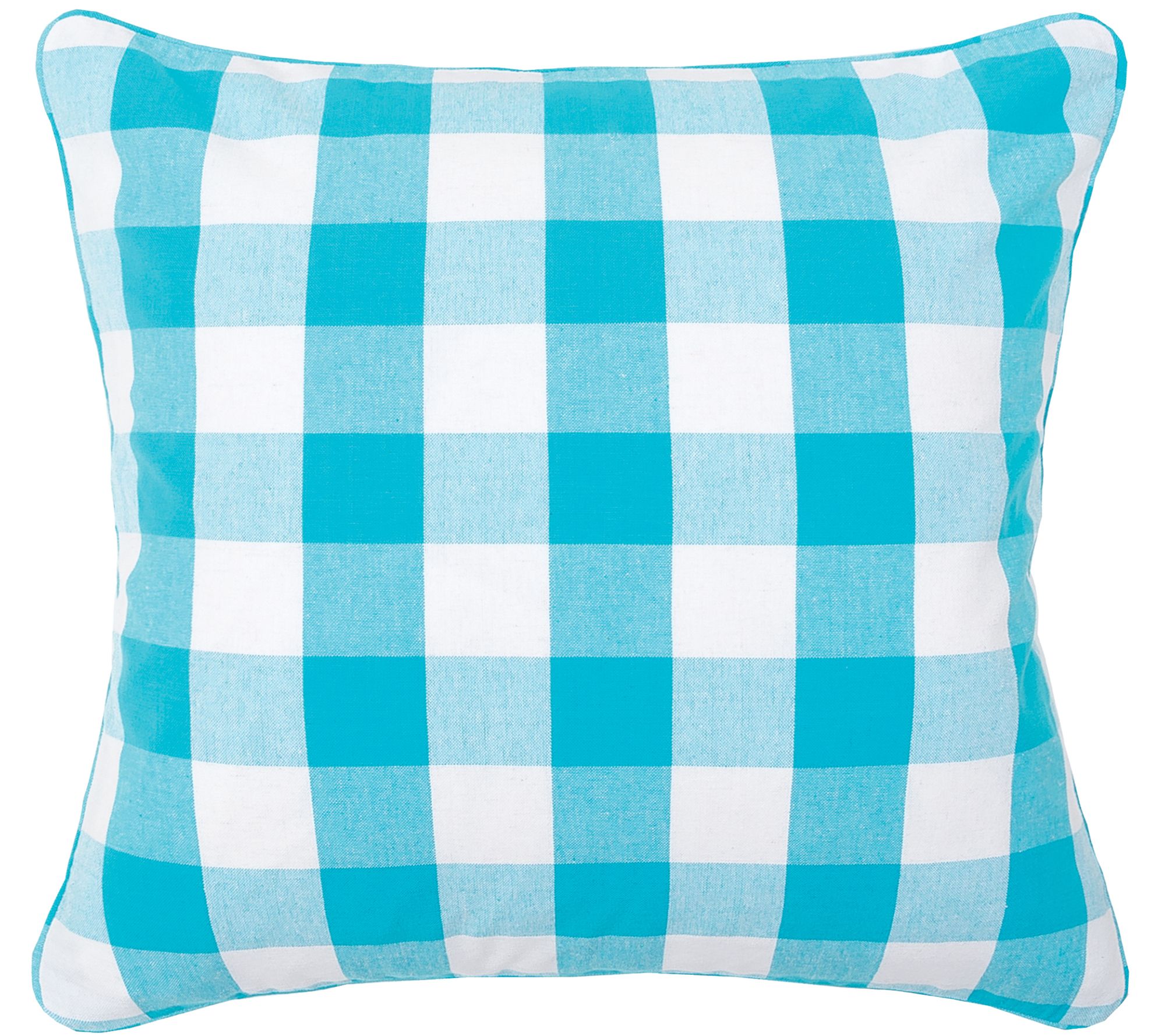 Franklin 20" x 20" Pillow by Valerie