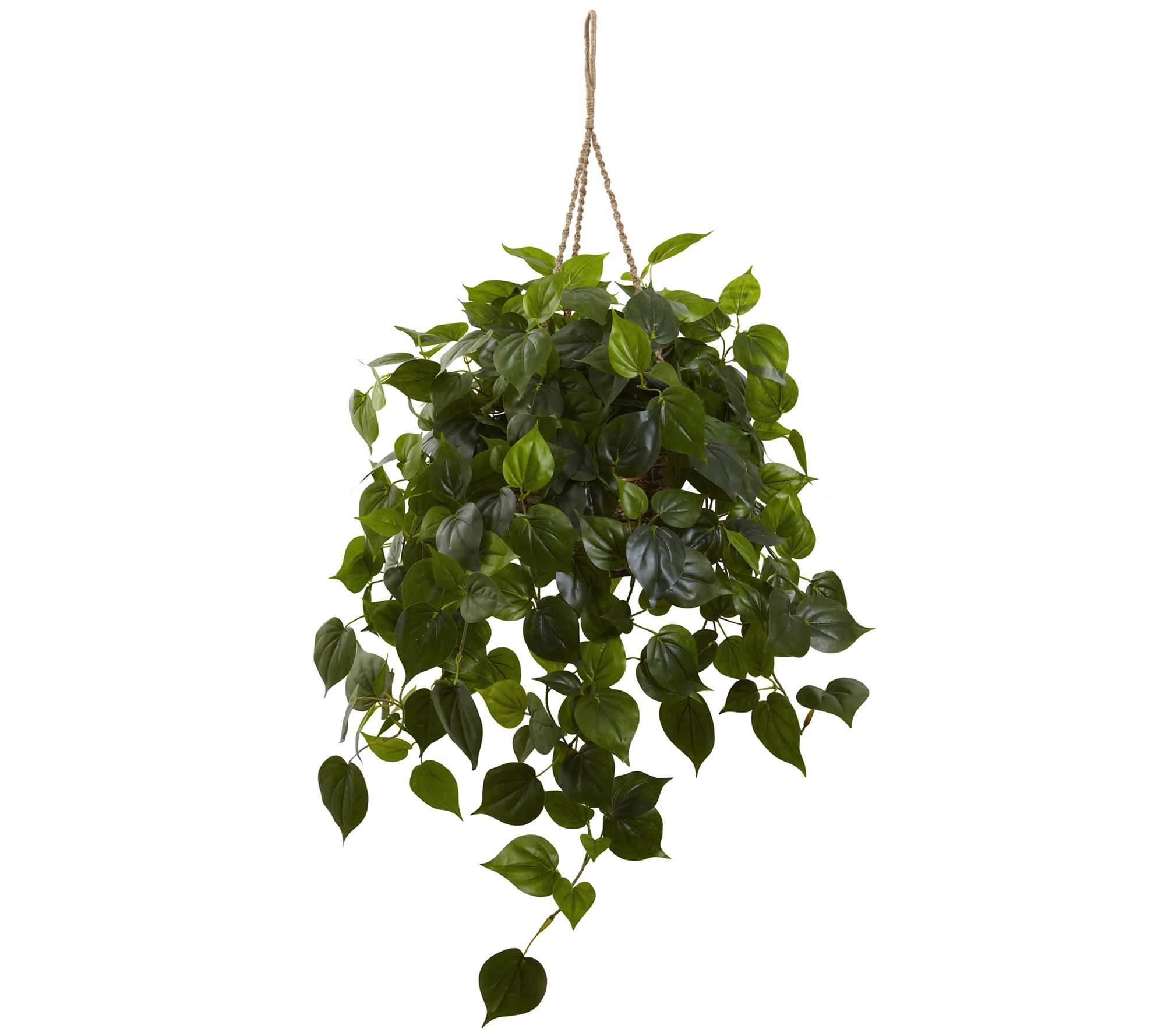 Philodendron Hanging Basket by Nearly Natural - QVC.com