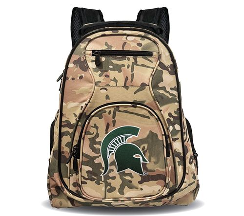 Michigan State