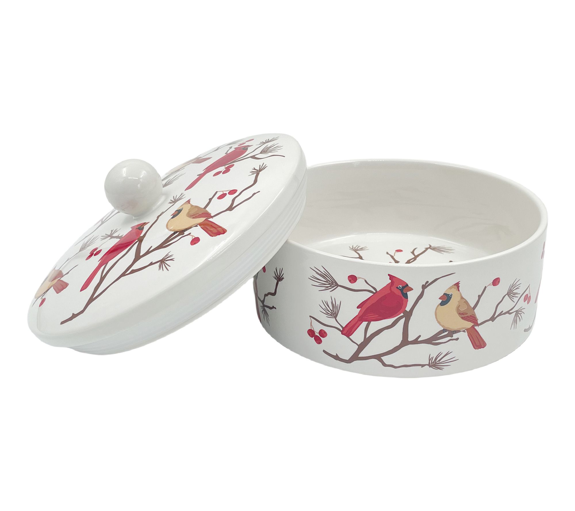 "As Is" Temp-tations Seasonal CeramicCanister w/Silicone Seal