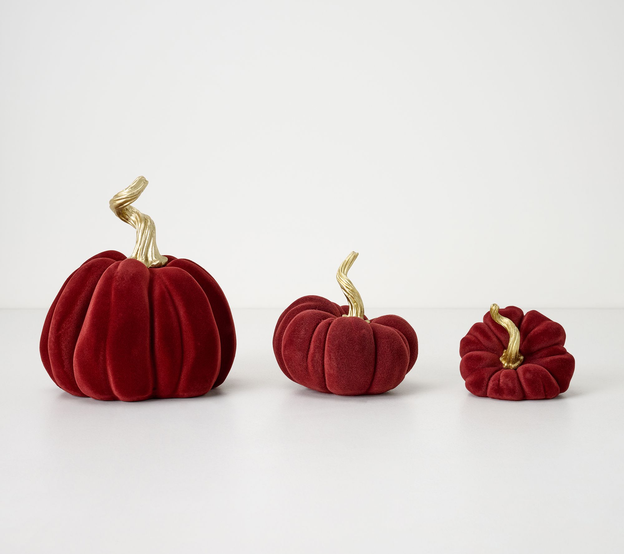 Set of 3 Suede Touch Pumpkins by Valerie