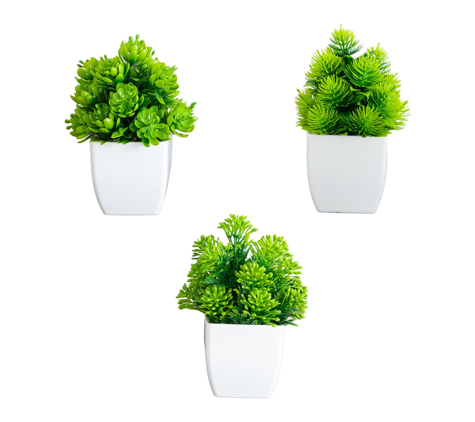 6-in Succulent in White Square Pot - Set of 3 by Nearly Natural