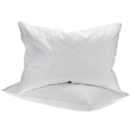 Northern nights 2025 feather pillows