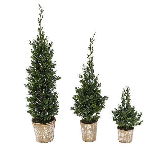 Set of 3 Slim Potted Christmas Trees by GersonCo