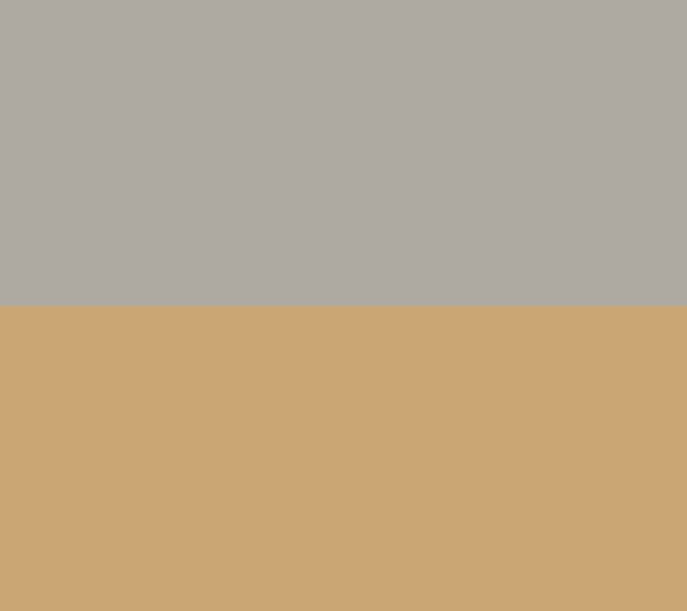 Grey/Gold