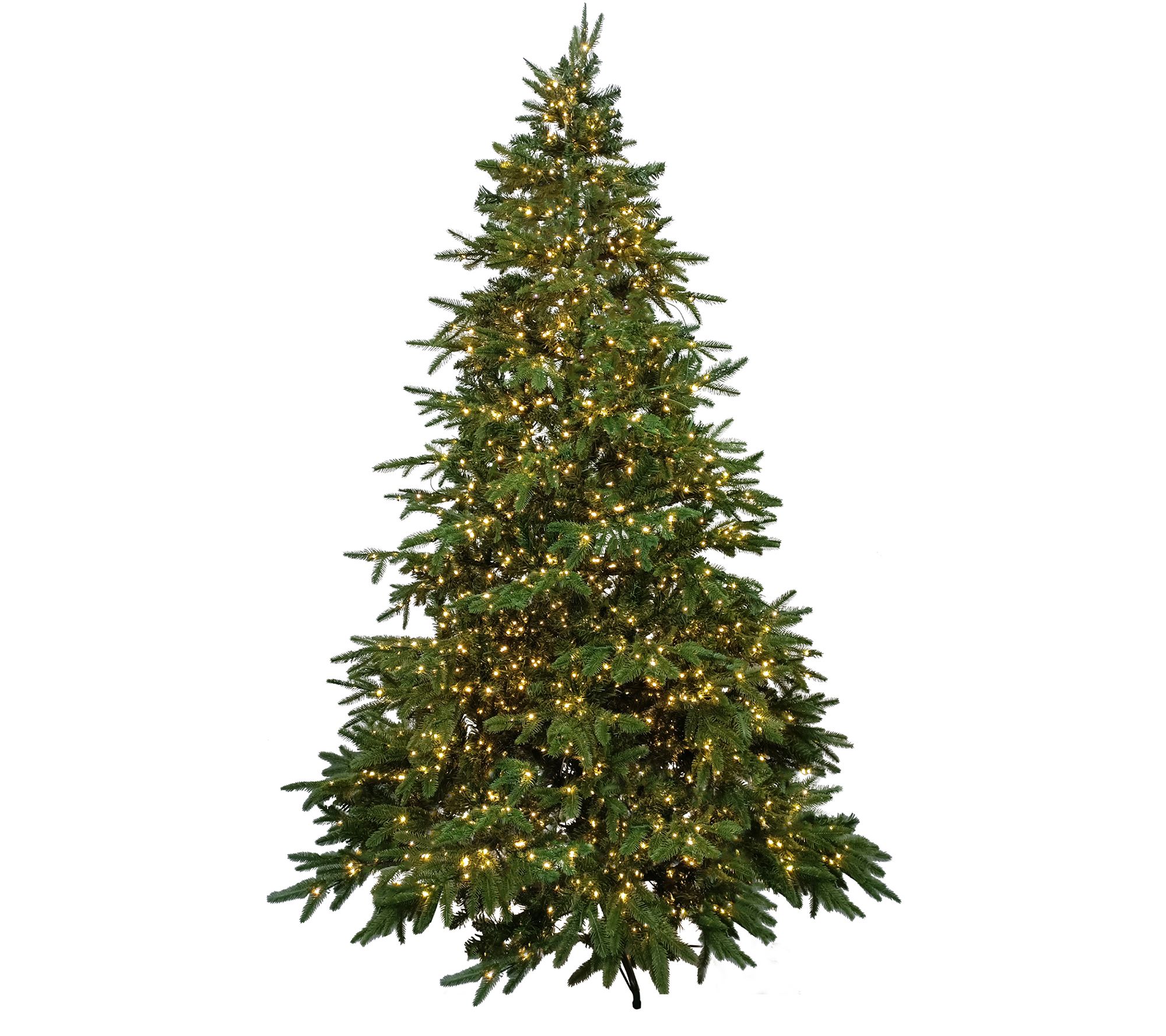Northlight 7.5' Prelit Birch River Fir Tree  Candlelight