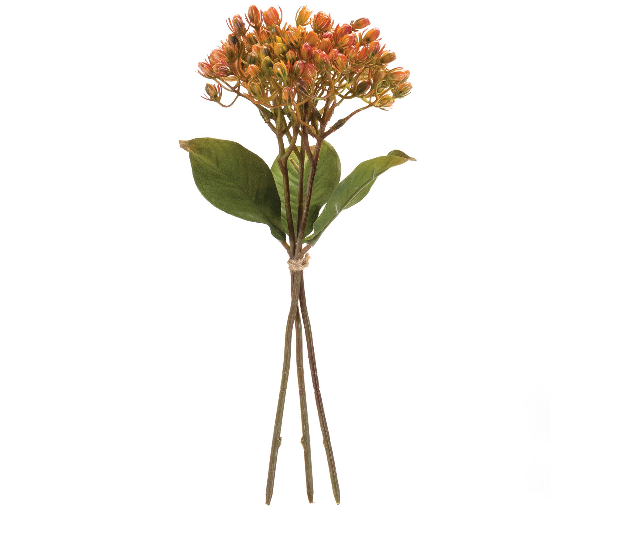 Melrose Harvest Red Berry Bundle (Set of 12)