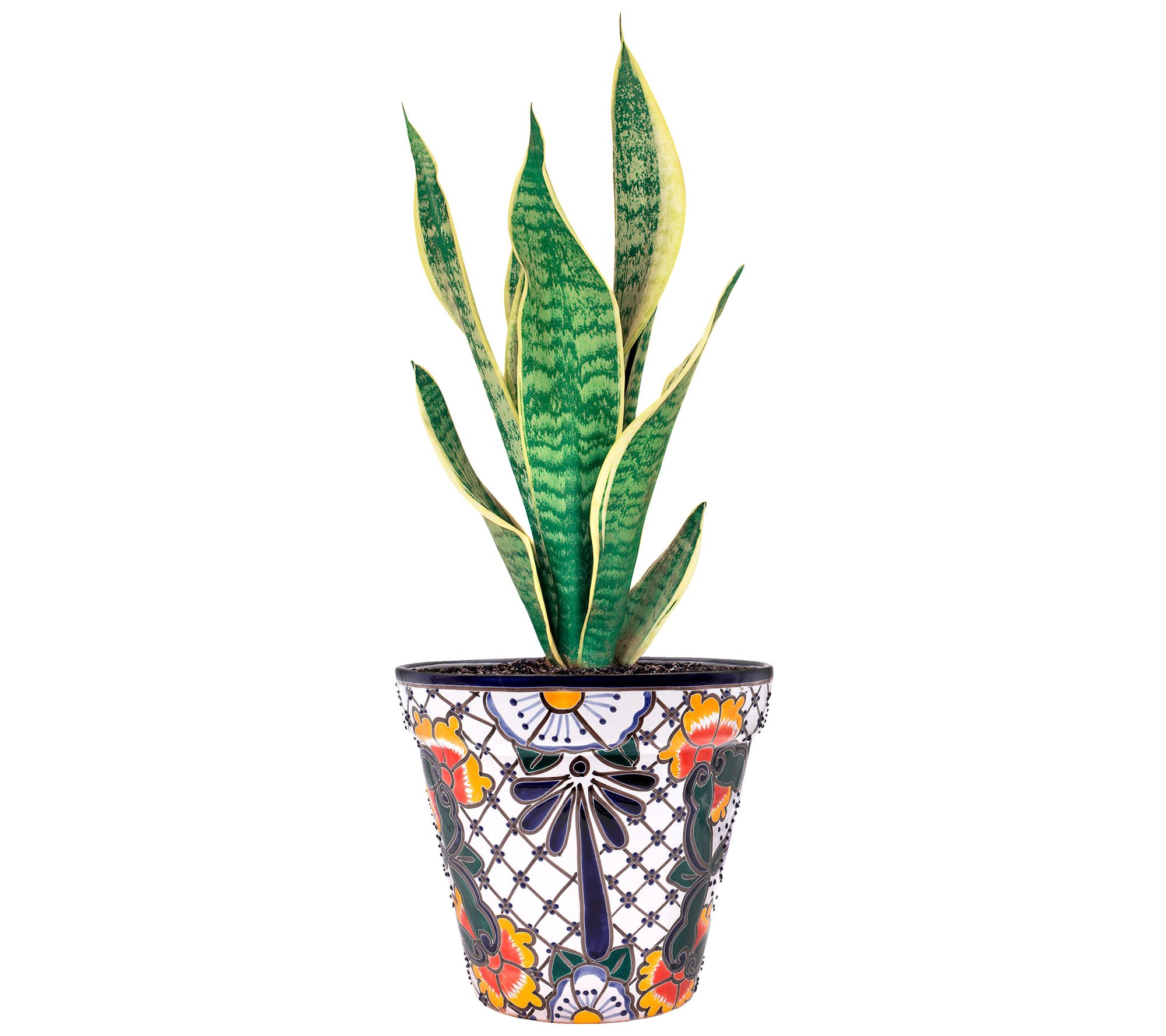 Plow & Hearth Large White Authentic Talavera Planter - QVC.com