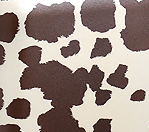 White/Brown Cow