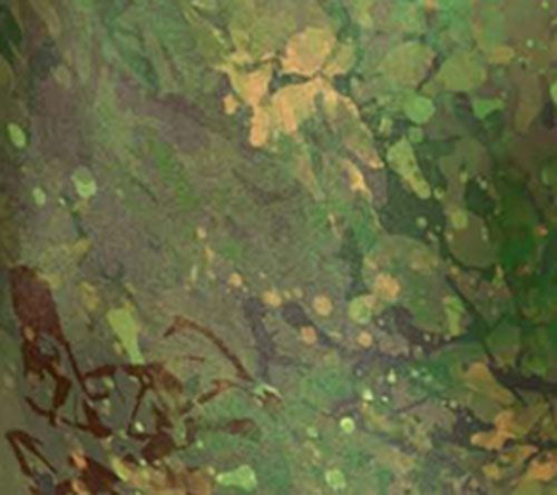 Camo