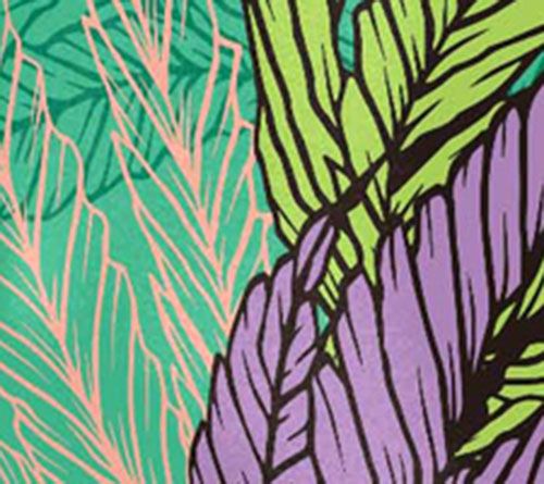 Seaweed