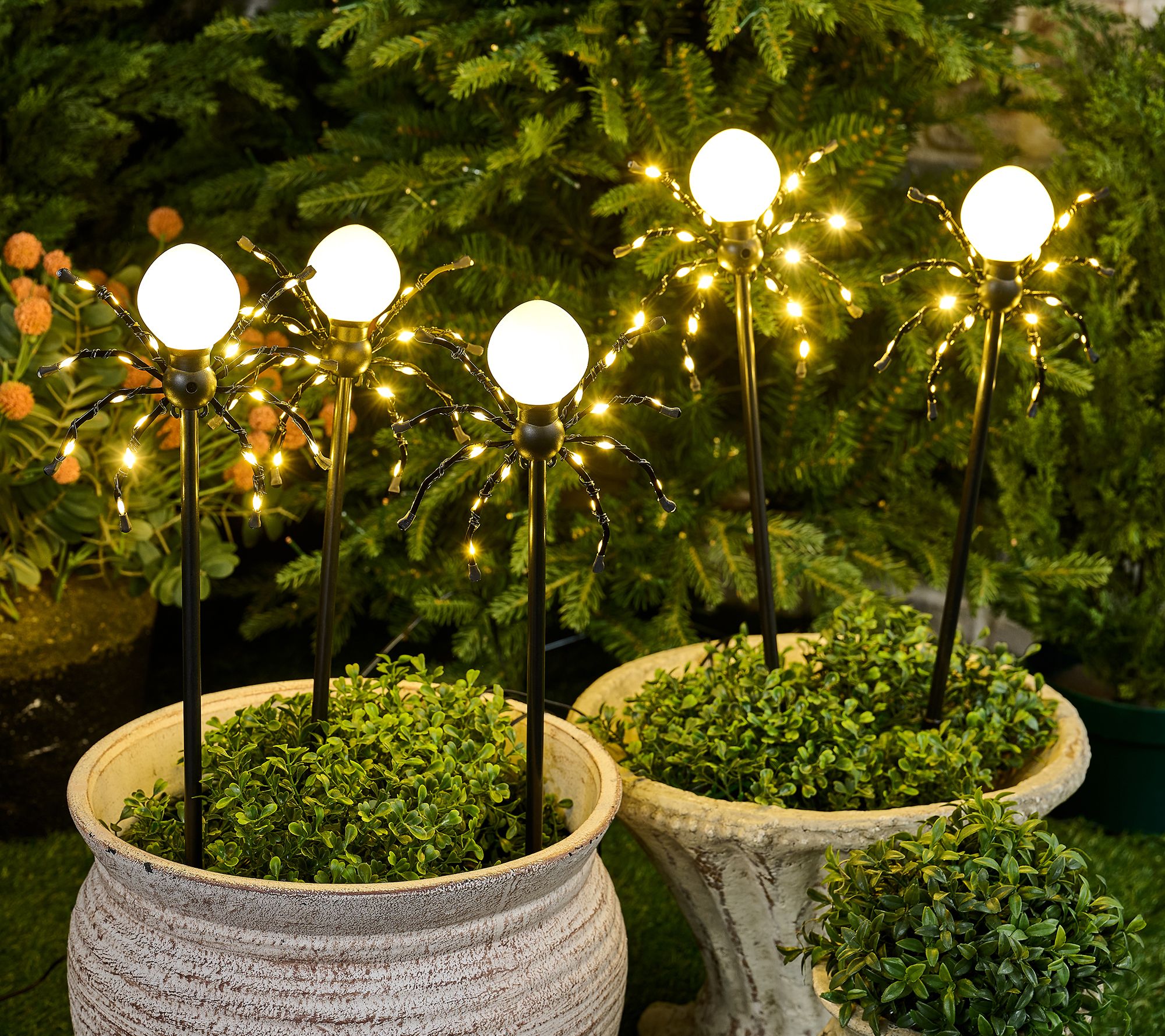 "As Is" Martha Stewart Set/5 Illuminated In/Outdoor 20" Spider Lights