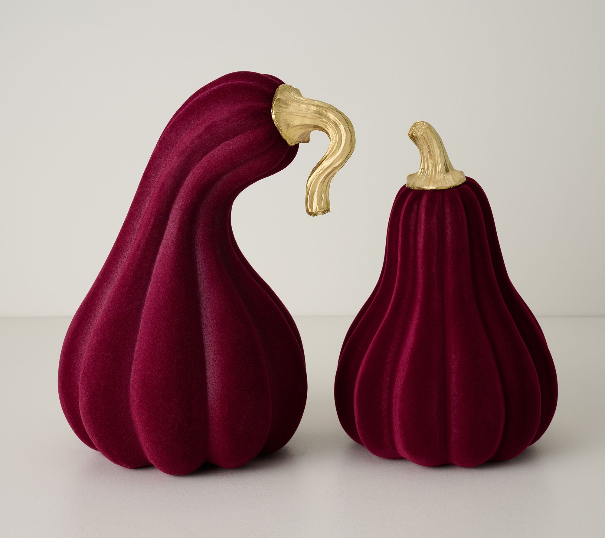  Set of 2 Suede Touch Gourds by Valerie