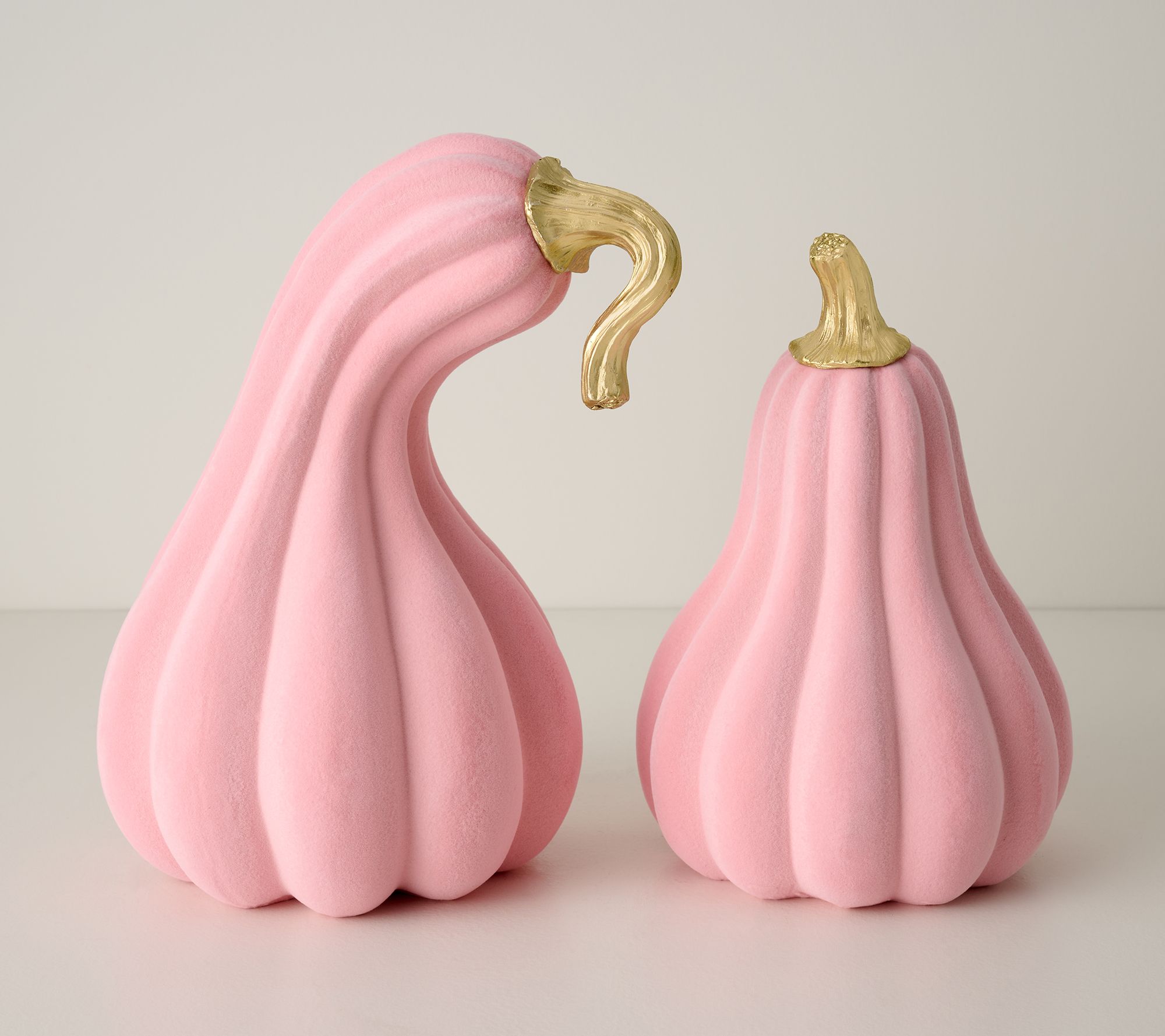 Set of 2 Suede Touch Gourds by Valerie