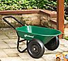 Glitzhome Haul Without Hassle Lawn Garden Wheelbarrow Dually, 5 of 7