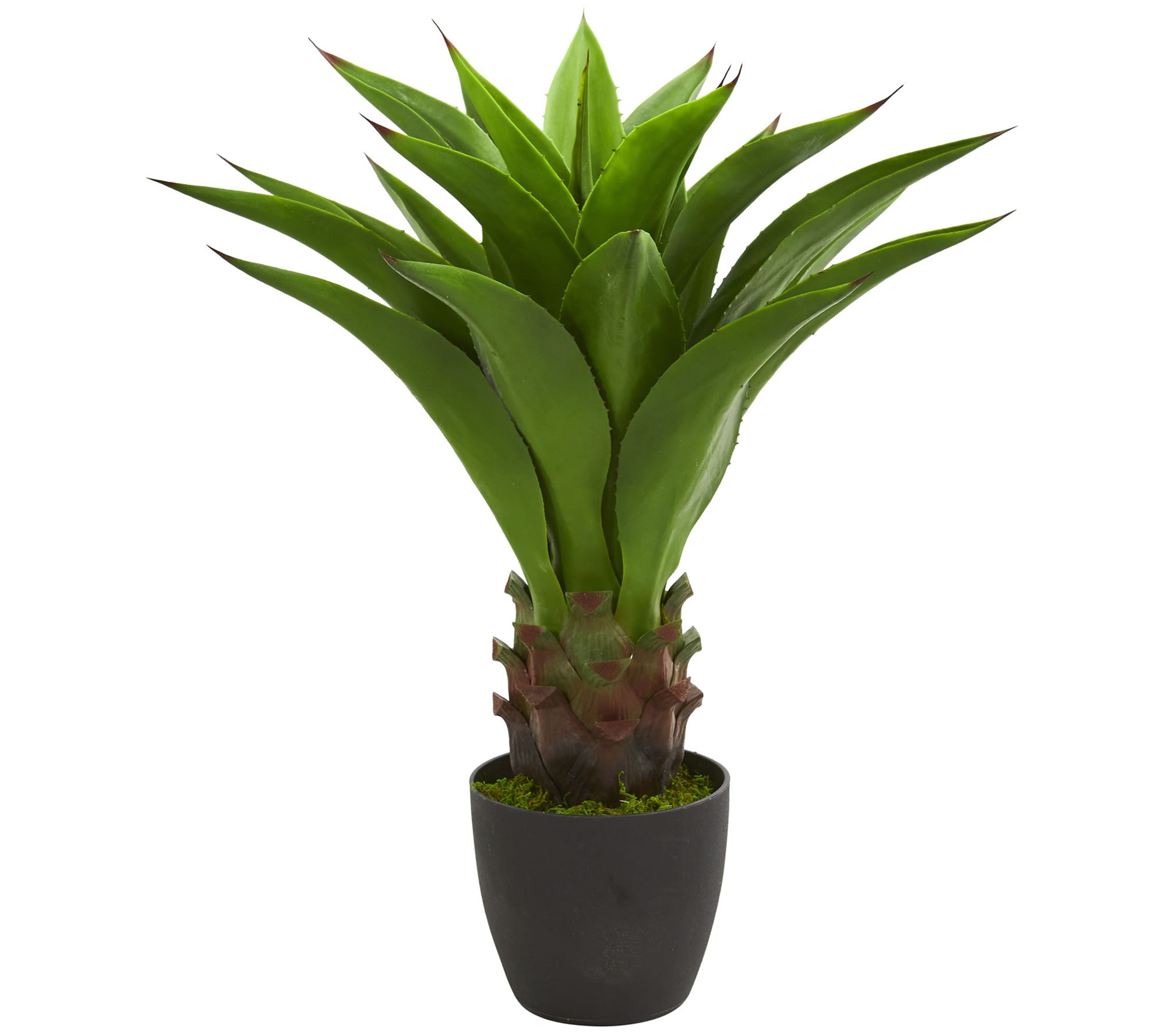 30" Agave Artificial Plant by Nearly Natural
