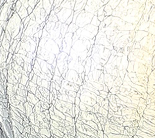 Luster Crackle