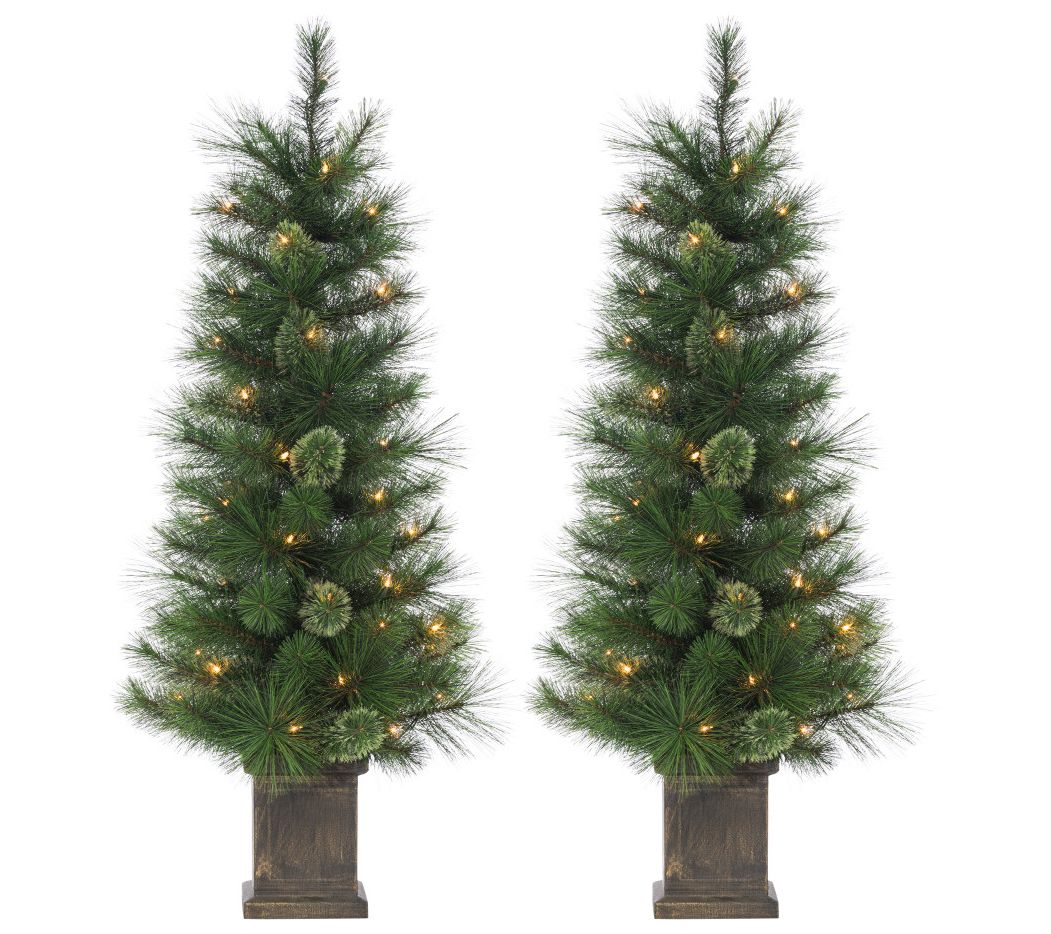 Set of 2 Elegant 4 ft Potted Cashmere Trees by Sterling Co.