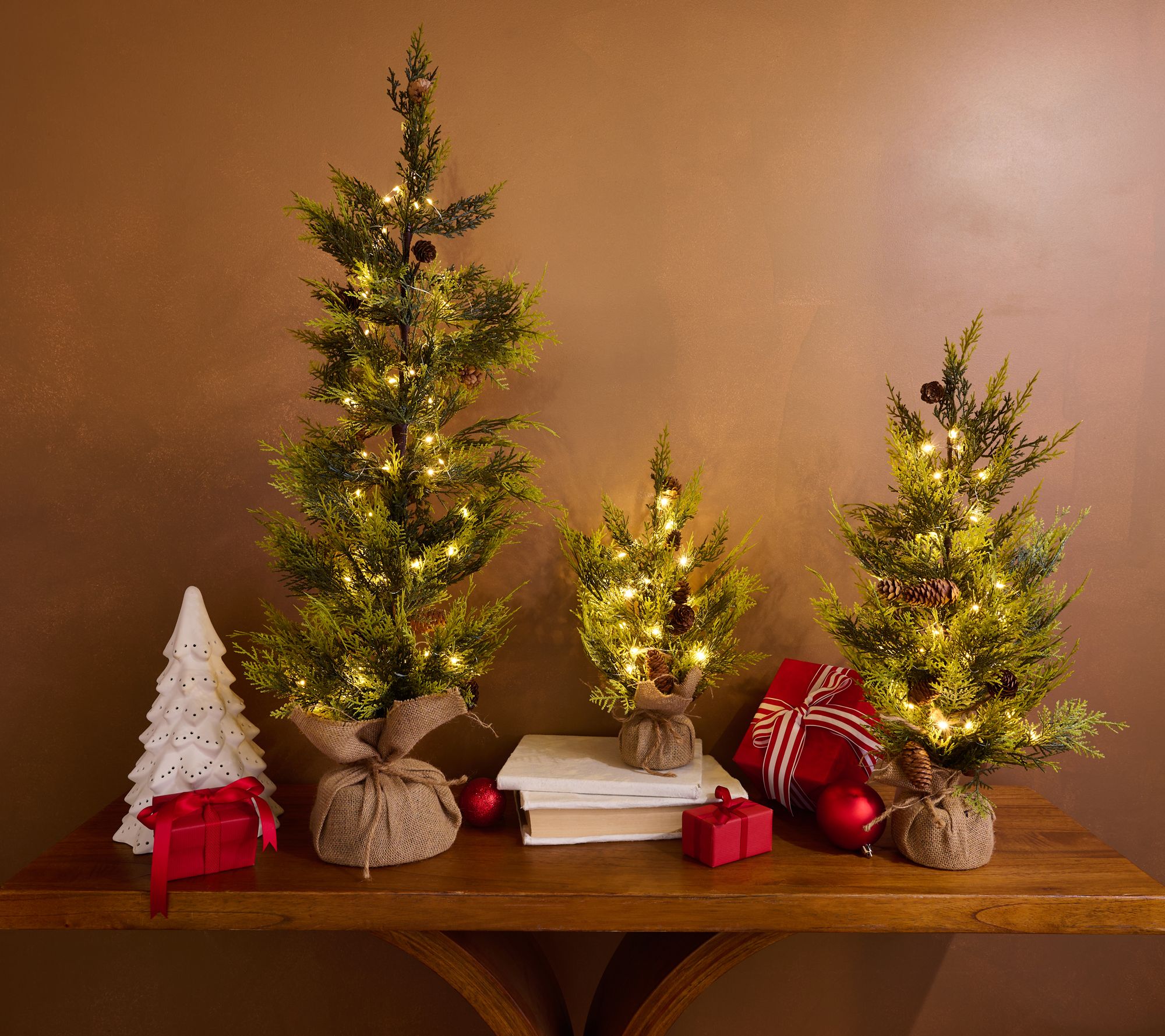 "As Is" Home Reflections Set of 3 LED Decorative Trees