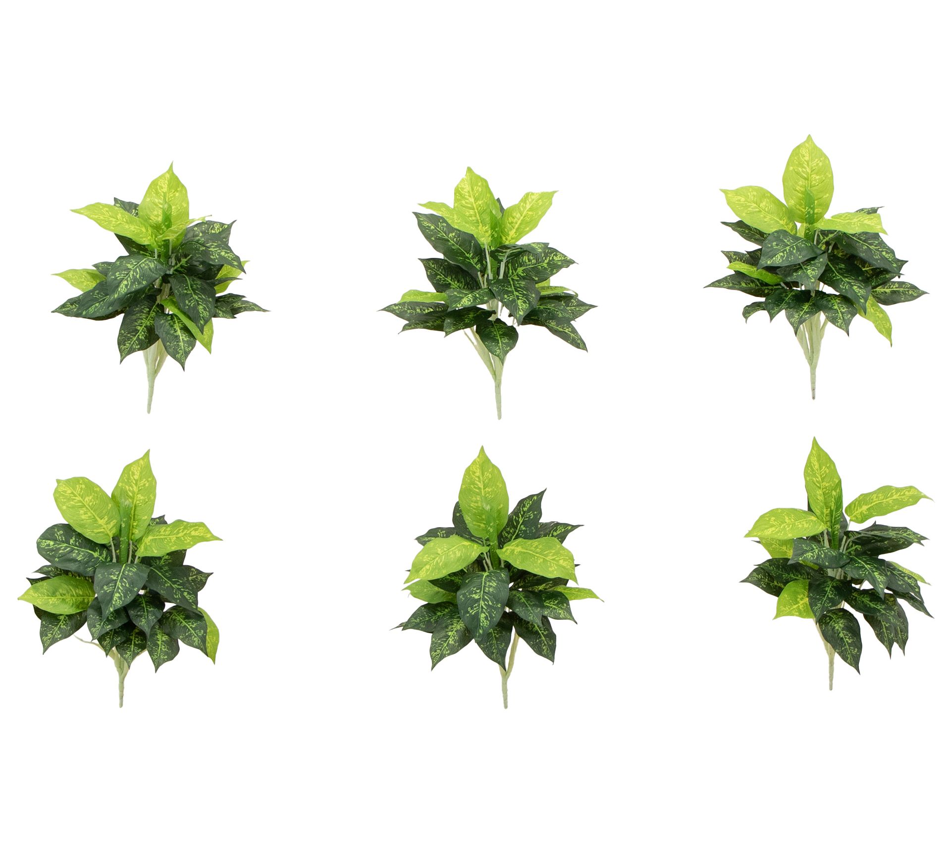 Nearly Natural 19" Artificial Dieffenbachia Plant - Set of 6