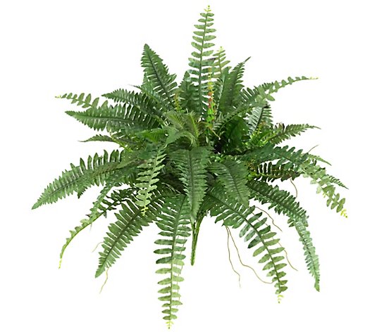 Set of 2 Boston Ferns by Nearly Natural