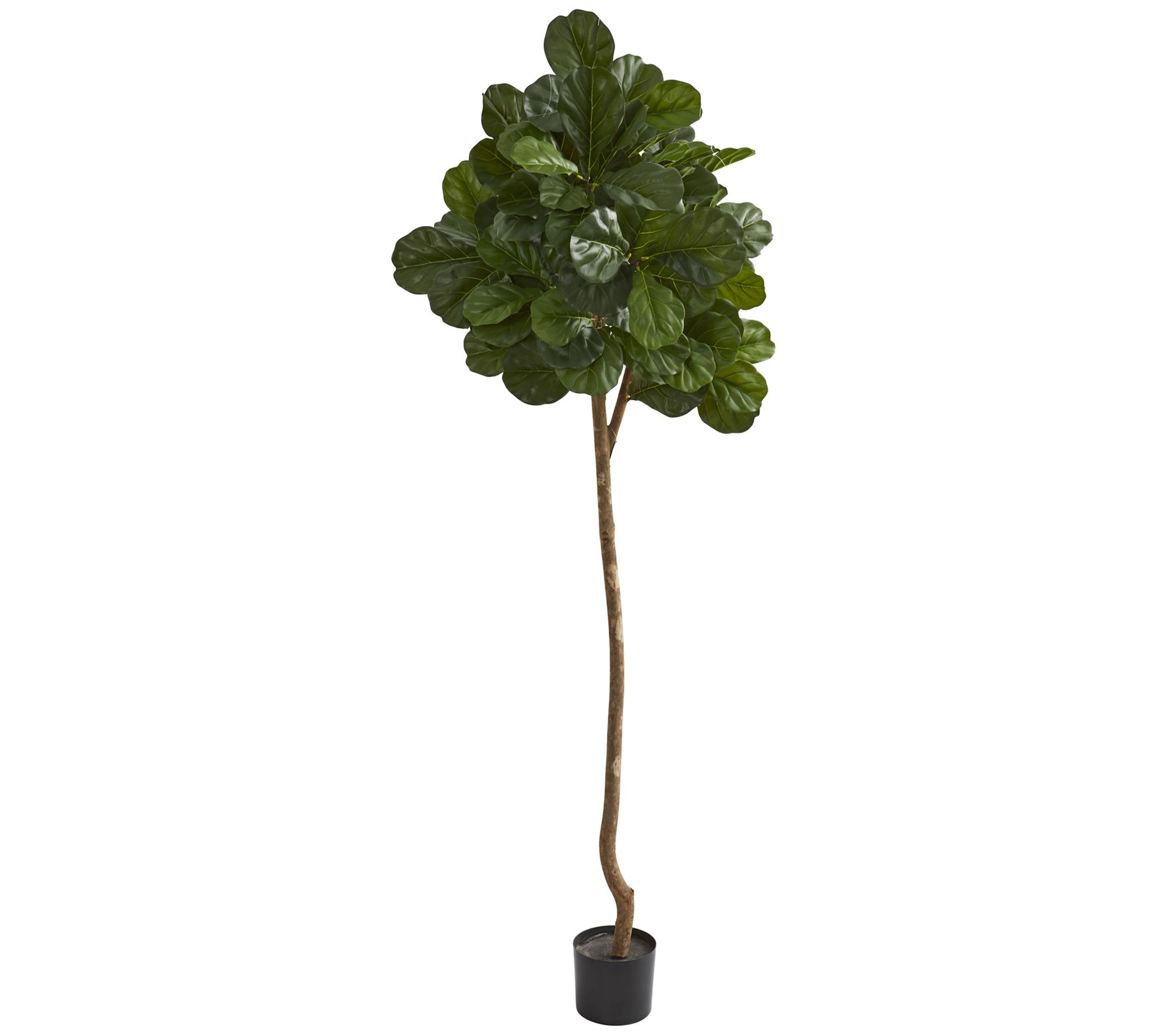7' Fiddle Leaf Fig Artificial Tree by Nearly Natural
